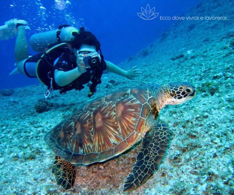 Private Island - Maldives - Xerendipity Selezione Personale Domestico Referenziato Garantito 21
