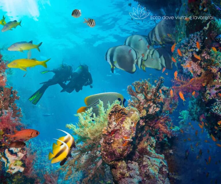Private Island - Maldives - Xerendipity Selezione Personale Domestico Referenziato Garantito 22