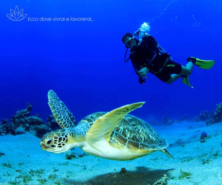 Private Island - Maldives - Xerendipity Selezione Personale Domestico Referenziato Garantito 30