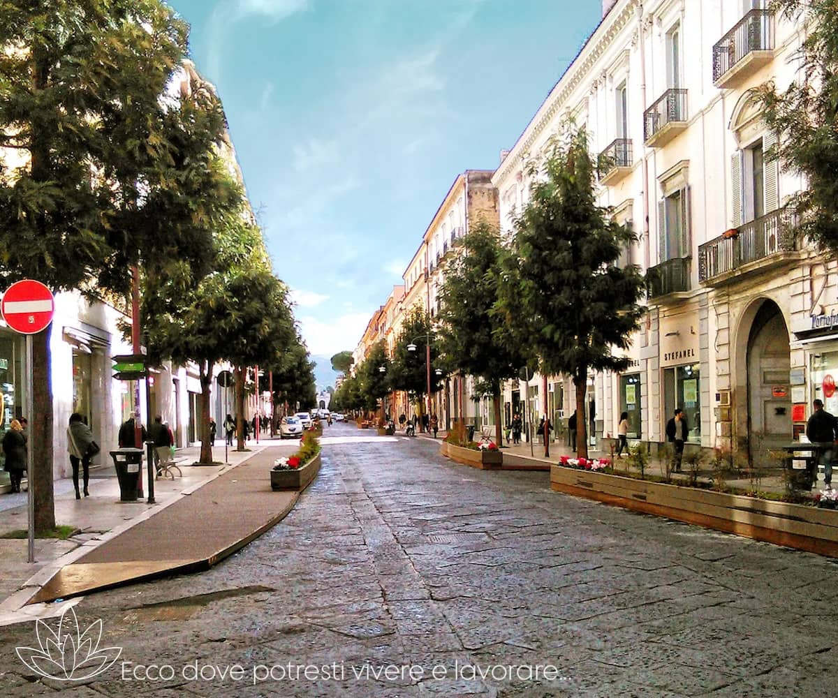 Caserta - Campania - Italia - Xerendipity Selezione Personale Domestico Referenziato Garantito 09