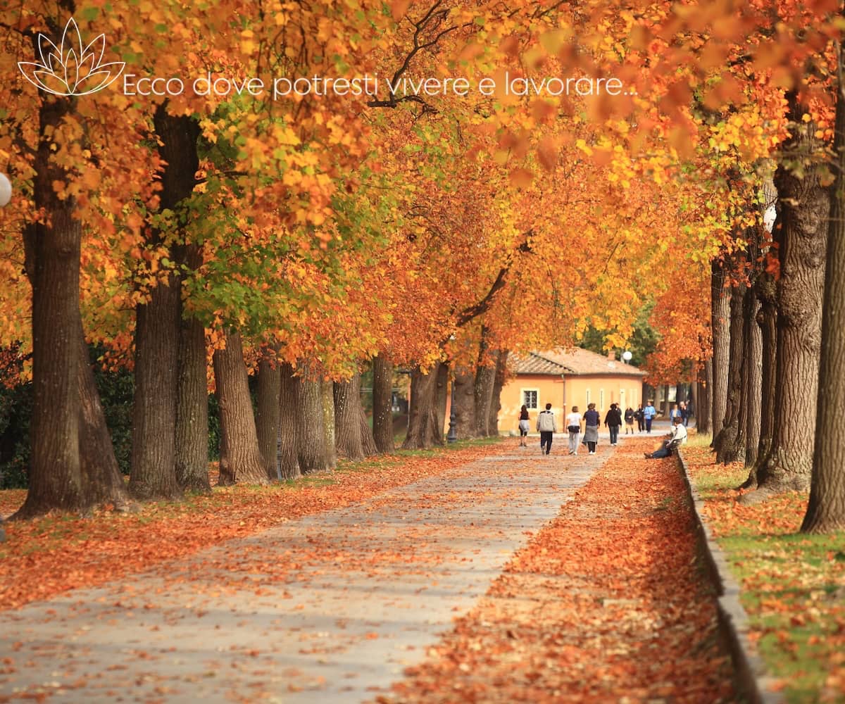 Lucca - Toscana - Italia - Xerendipity Selezione Personale Domestico Referenziato Garantito 11