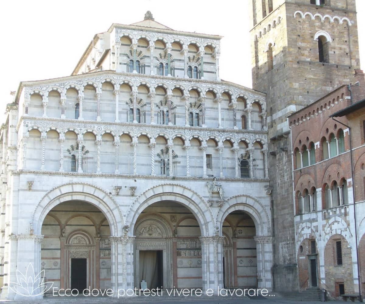 Lucca - Toscana - Italia - Xerendipity Selezione Personale Domestico Referenziato Garantito 15