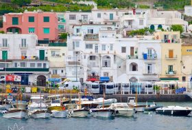 Capri - Campania - Italia - Xerendipity Selezione Personale Domestico Referenziato Garantito 05