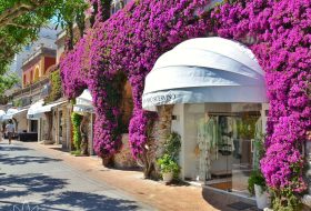 Capri - Campania - Italia - Xerendipity Selezione Personale Domestico Referenziato Garantito 06