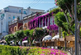 Capri - Campania - Italia - Xerendipity Selezione Personale Domestico Referenziato Garantito 12