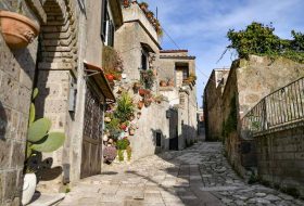 Caserta - Campania - Italia - Xerendipity Selezione Personale Domestico Referenziato Garantito 10