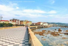 Livorno - Toscana - Italia - Xerendipity Selezione Personale Domestico Referenziato Garantito 06