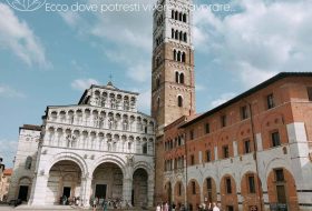 Lucca - Toscana - Italia - Xerendipity Selezione Personale Domestico Referenziato Garantito 06