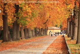 Lucca - Toscana - Italia - Xerendipity Selezione Personale Domestico Referenziato Garantito 11