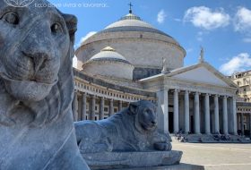 Napoli - Campania - Italia - Xerendipity Selezione Personale Domestico Referenziato Garantito 11