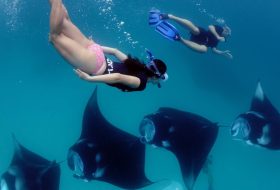 Private Island - Maldives - Xerendipity Selezione Personale Domestico Referenziato Garantito 29