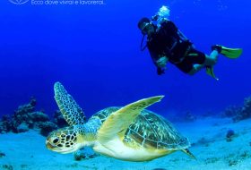 Private Island - Maldives - Xerendipity Selezione Personale Domestico Referenziato Garantito 30