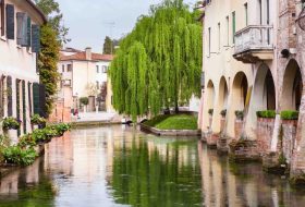 Treviso - Veneto - Italia - Xerendipity Selezione Personale Domestico Referenziato Garantito 01